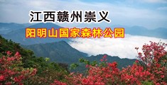 二级黄片女人和男人操逼逼